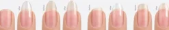 CND PlexiGel Builder