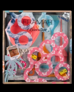 Framar Baecation Colorist Kit