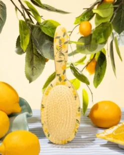 Framar Limoncello - Detangle Brush - Amalfi