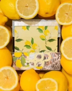 Framar Limoncello - Embossed Roll 100 m