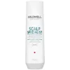 Goldwell Dualsenses Scalp Specialist Anti-Dandruff Shampoo