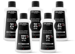 Goldwell System Developer