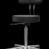 Greiner Arbeitsstuhl Classic+