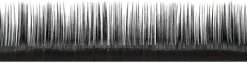 LASH beLONG Flare Volume Lashes C-Curl Mix-Box