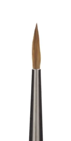 Magnetic Set The Detailers Brush