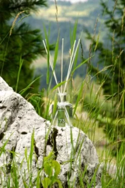 My Senso Alpine Collection Diffuser N°73 Fresh Herbs