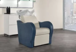 Salon Ambience Rückwaschanlage Luxury