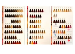 Super Brillant Color Farbberatungskarte 2022
